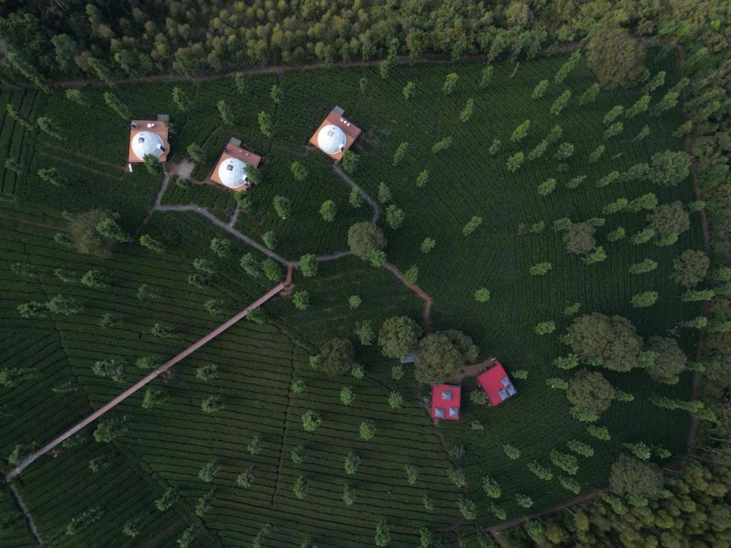 Vythiri Tea Valley I Best Hotel In Wayanad L Hotels In Vythiri Wayanad Exteriör bild