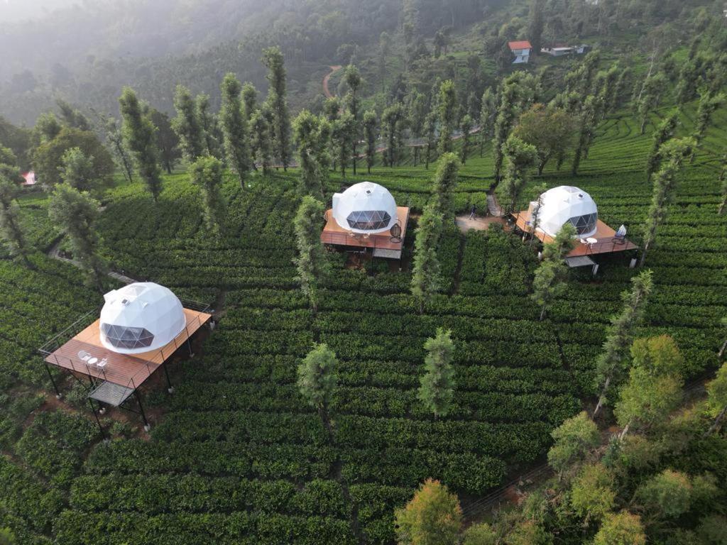Vythiri Tea Valley I Best Hotel In Wayanad L Hotels In Vythiri Wayanad Exteriör bild
