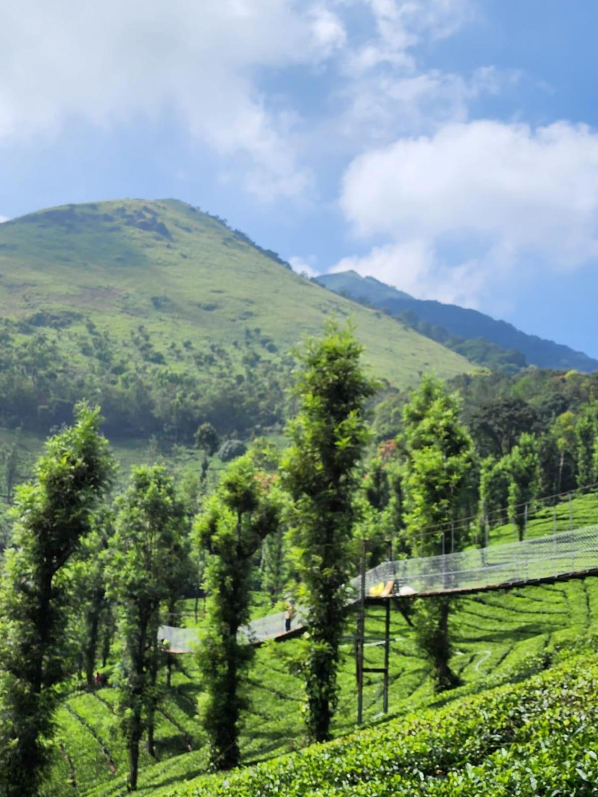 Vythiri Tea Valley I Best Hotel In Wayanad L Hotels In Vythiri Wayanad Exteriör bild